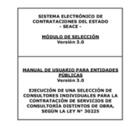 Manual del SEACE