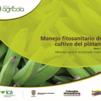 134 Manejo fitosanitario del cultivo del plátano (medidas para la temporada).pdf