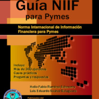 NIIF para MYPES