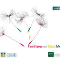 Familiares en Salud Mental. Guía de Información a Pacientes