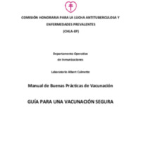 618  Una vacuna segura y conveniente.pdf