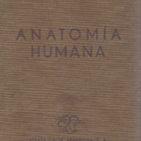   Anatomía humana