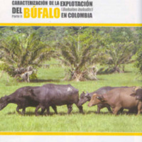 Manual de explotación de búfalos