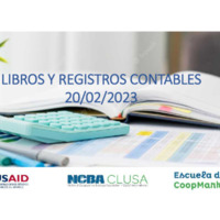 193 Libros y registros contables.pdf