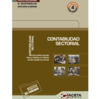 Contabilidad Sectorial