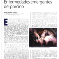 86 Enfermedades emergentes en porcino.pdf