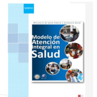 382  Atención integral de salud, gestante, niño, adolescente, adulto, adulto mayor..pdf