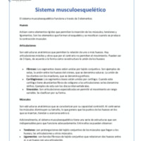 Sistema músculo esquelético.